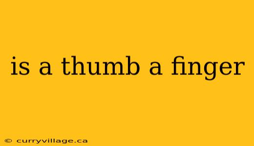 is a thumb a finger