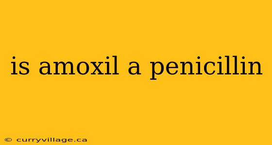 is amoxil a penicillin