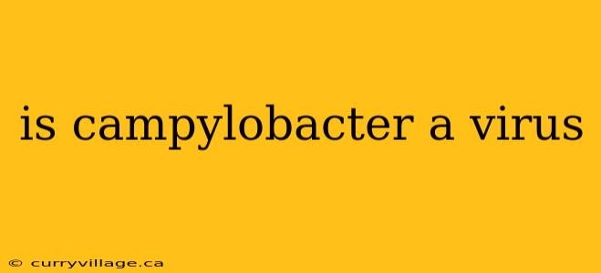 is campylobacter a virus