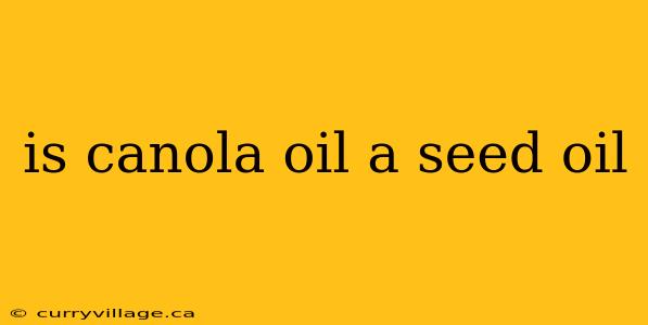 is canola oil a seed oil