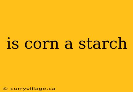 is corn a starch