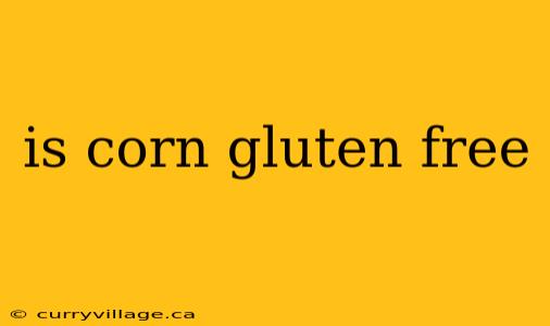 is corn gluten free