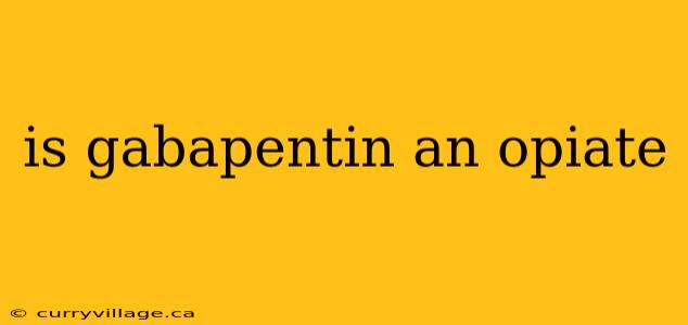 is gabapentin an opiate