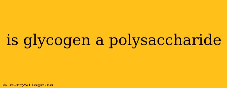 is glycogen a polysaccharide