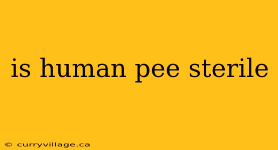 is human pee sterile