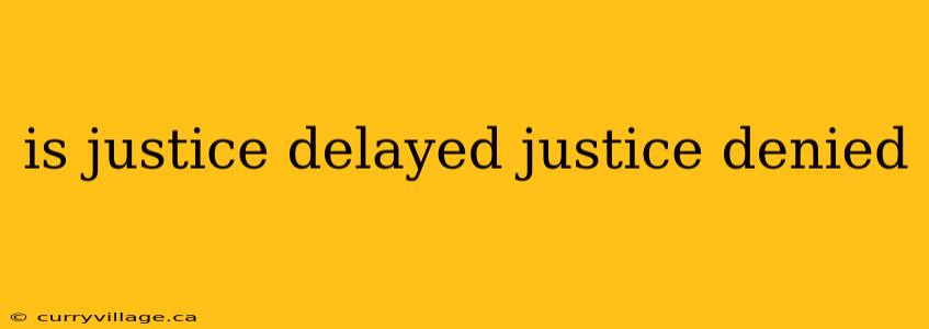 is justice delayed justice denied