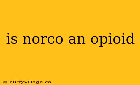 is norco an opioid