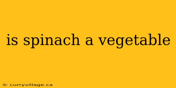 is spinach a vegetable