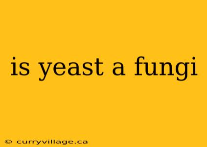 is yeast a fungi