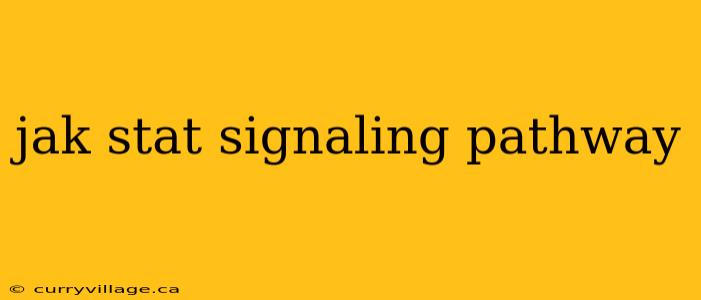 jak stat signaling pathway
