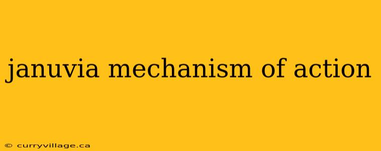 januvia mechanism of action