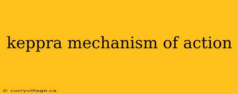 keppra mechanism of action