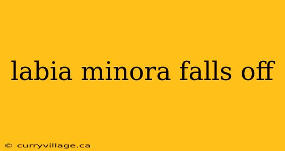 labia minora falls off