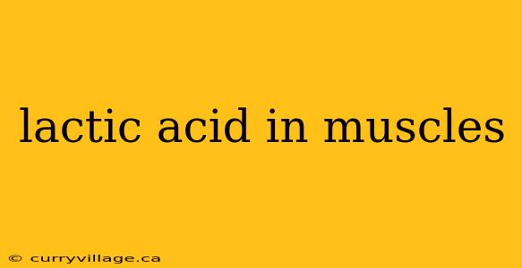 lactic acid in muscles