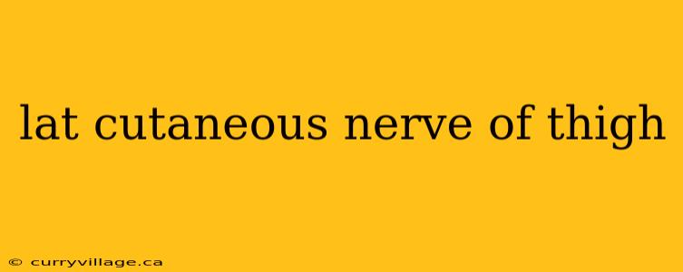 lat cutaneous nerve of thigh