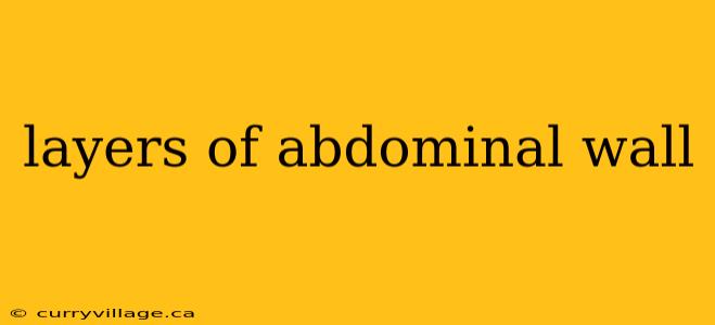 layers of abdominal wall