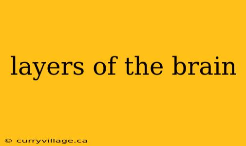 layers of the brain
