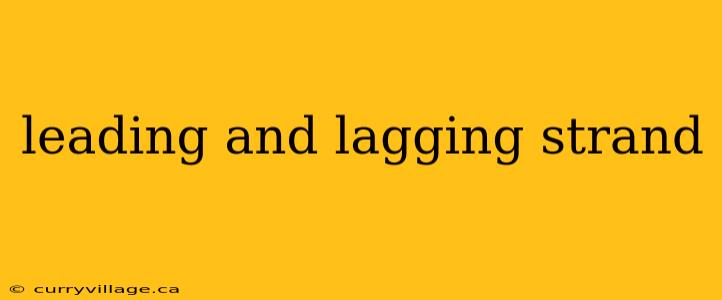 leading and lagging strand