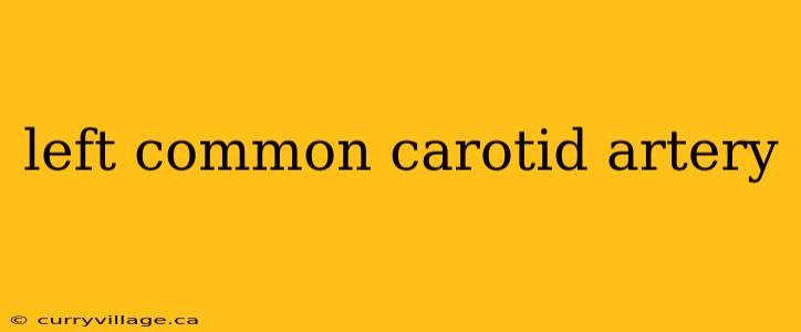 left common carotid artery