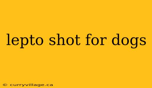 lepto shot for dogs