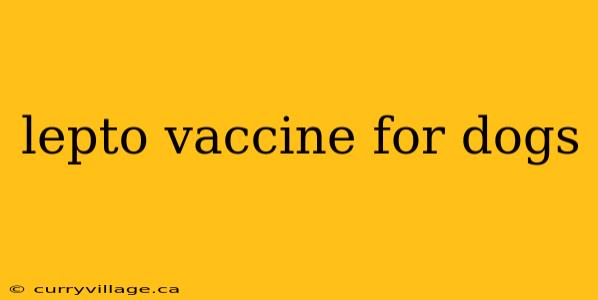 lepto vaccine for dogs