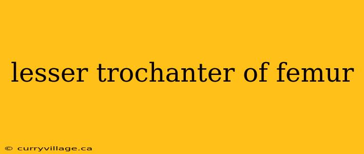 lesser trochanter of femur
