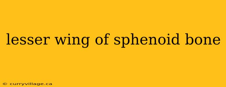 lesser wing of sphenoid bone