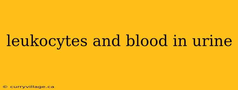 leukocytes and blood in urine