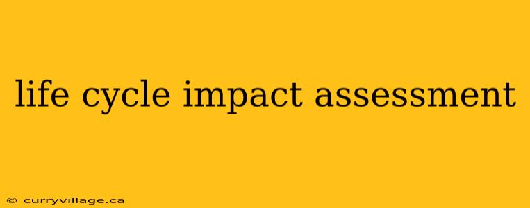 life cycle impact assessment