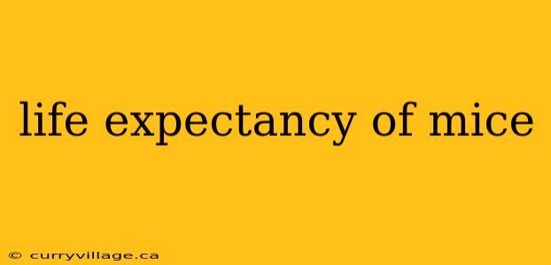 life expectancy of mice