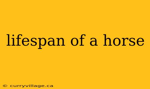 lifespan of a horse