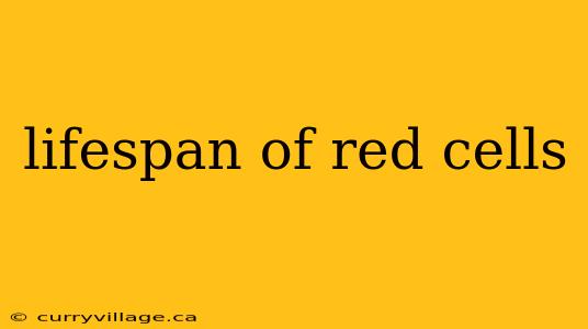 lifespan of red cells