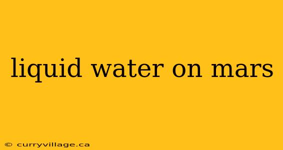 liquid water on mars