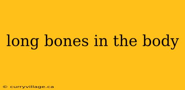 long bones in the body