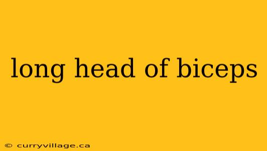 long head of biceps