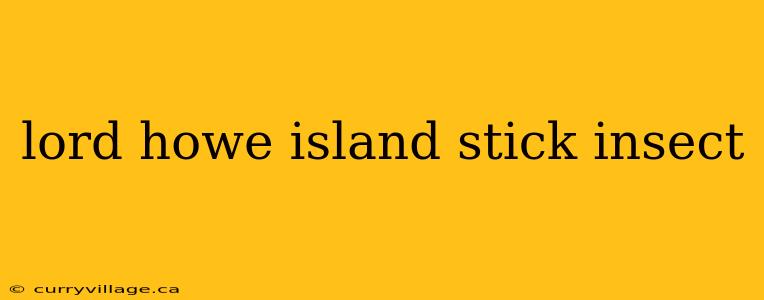 lord howe island stick insect