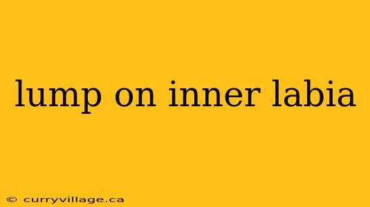 lump on inner labia