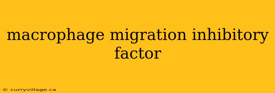 macrophage migration inhibitory factor