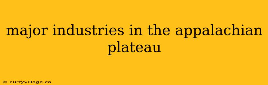 major industries in the appalachian plateau
