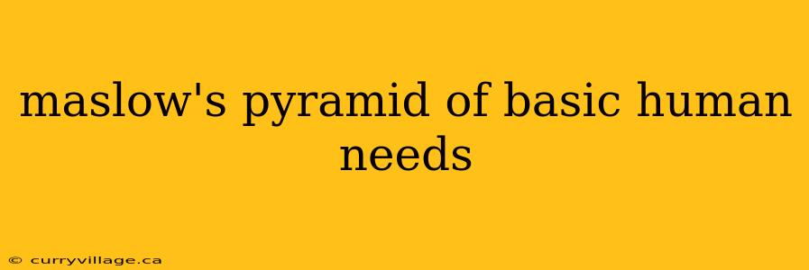 maslow's pyramid of basic human needs