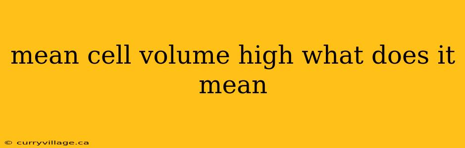 mean cell volume high what does it mean