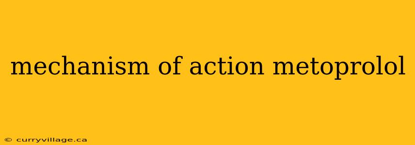 mechanism of action metoprolol