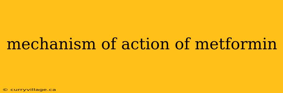 mechanism of action of metformin