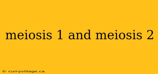 meiosis 1 and meiosis 2