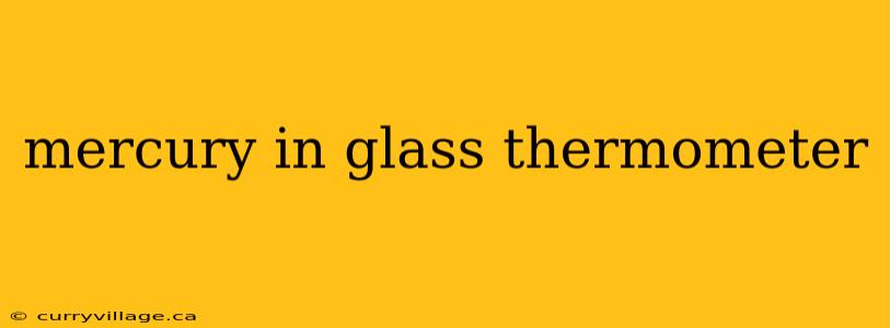 mercury in glass thermometer