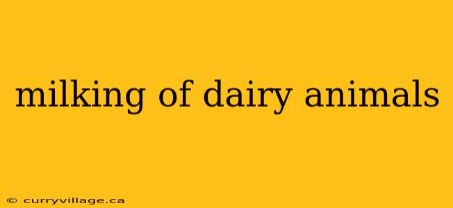 milking of dairy animals
