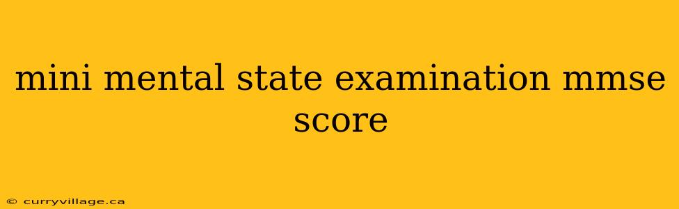 mini mental state examination mmse score