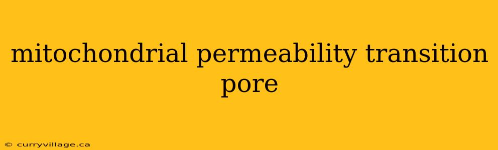 mitochondrial permeability transition pore