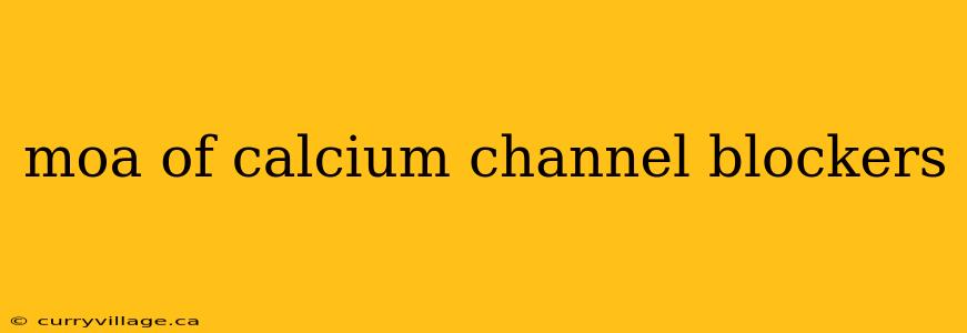 moa of calcium channel blockers