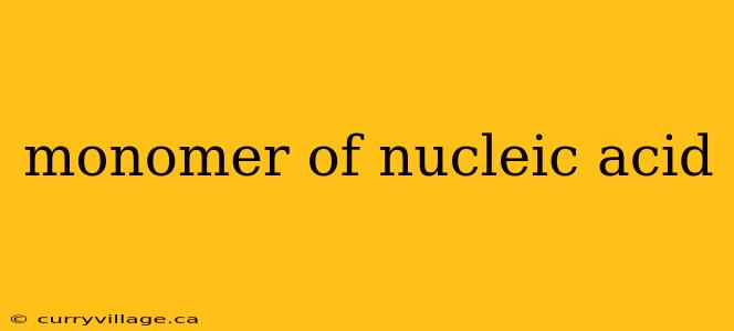monomer of nucleic acid